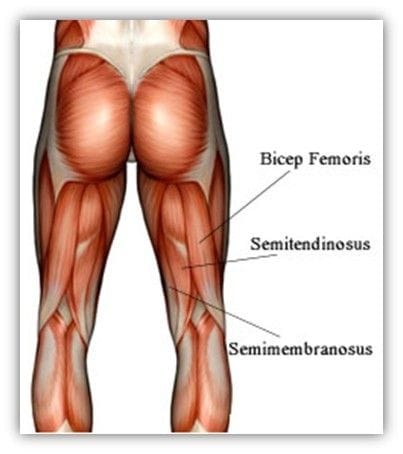 Hamstring Strains